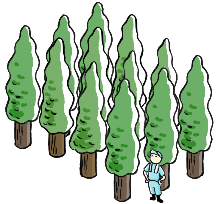木々のイラスト